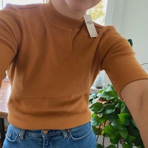 Ribbed Knit Mock Neck Top in Pumpkin Tan - Anthropologie! Fantastic Basic Shirt